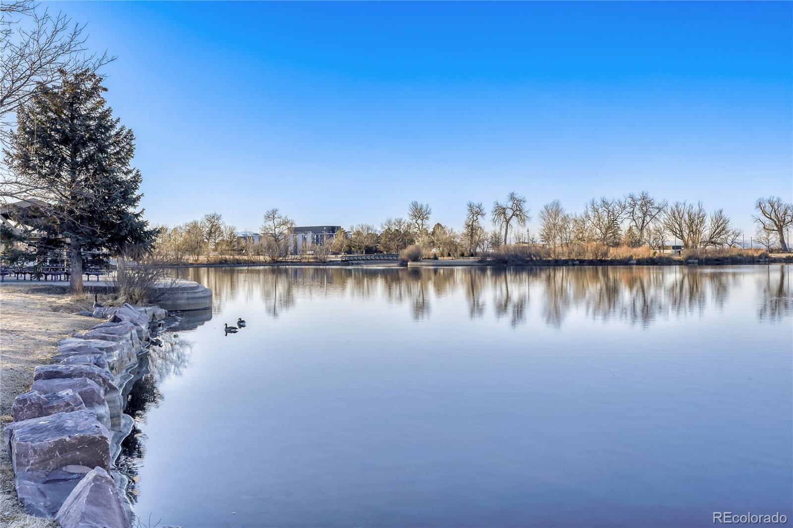MLS Image #13 for 11658  community center drive,northglenn, Colorado