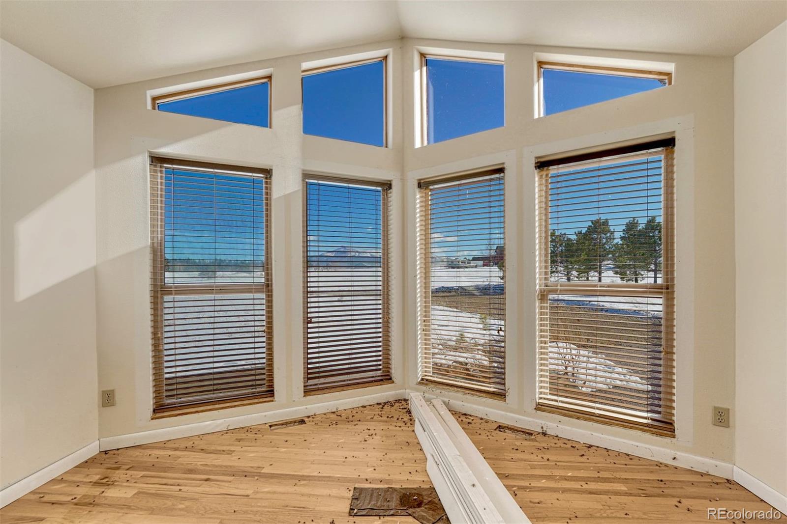 MLS Image #1 for 866  aspen village road,divide, Colorado