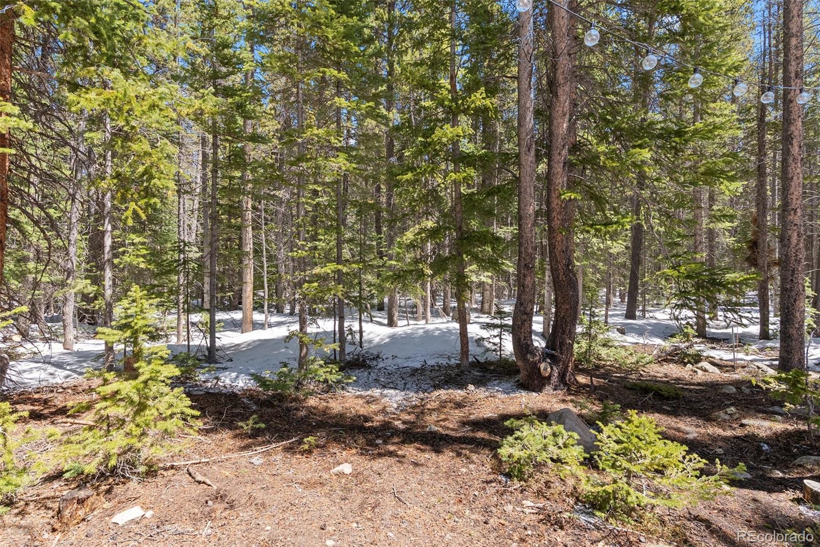 MLS Image #19 for 400  upper forest road,idaho springs, Colorado