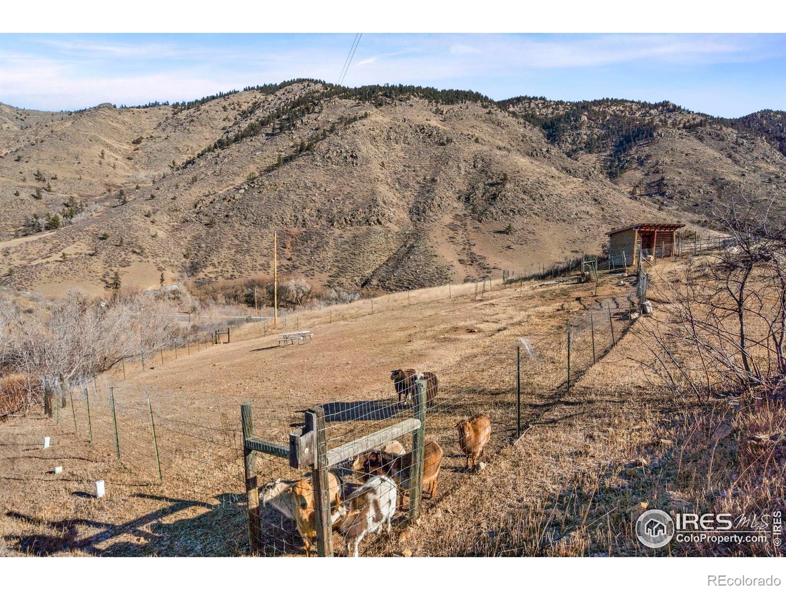 MLS Image #35 for 90  redtail ridge way,bellvue, Colorado