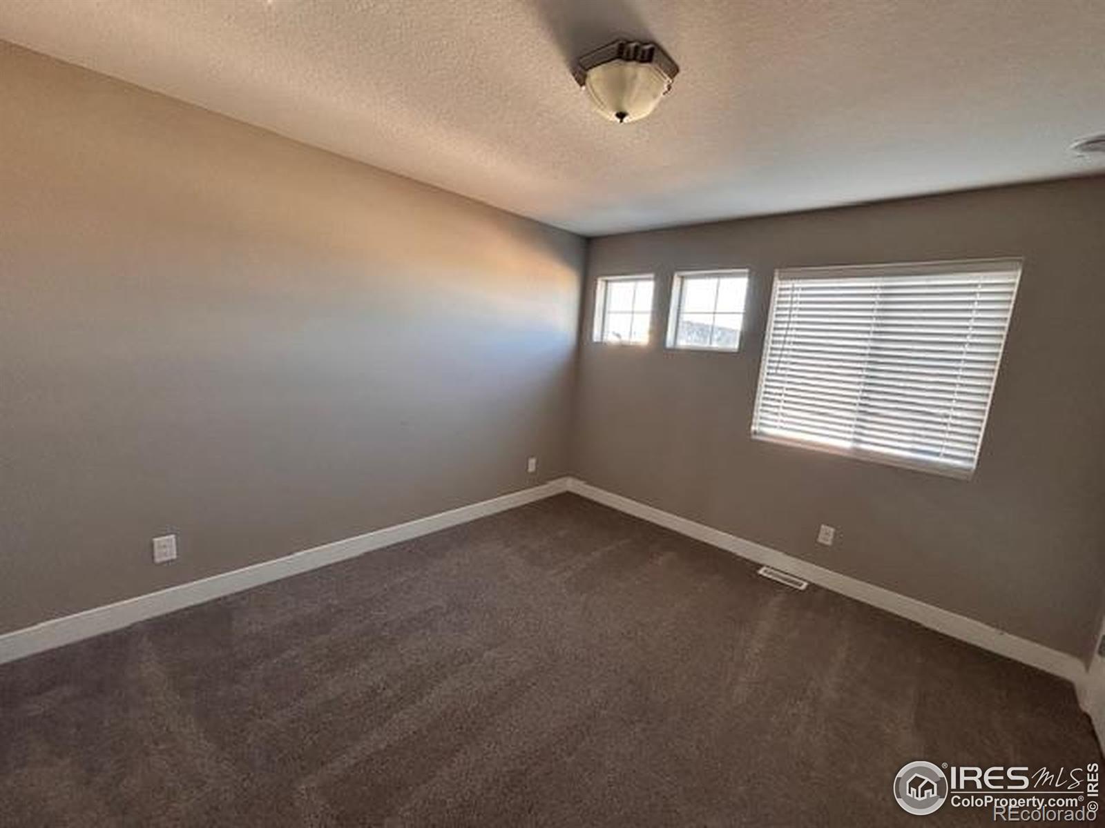 MLS Image #18 for 4393  tanner peak trail,brighton, Colorado