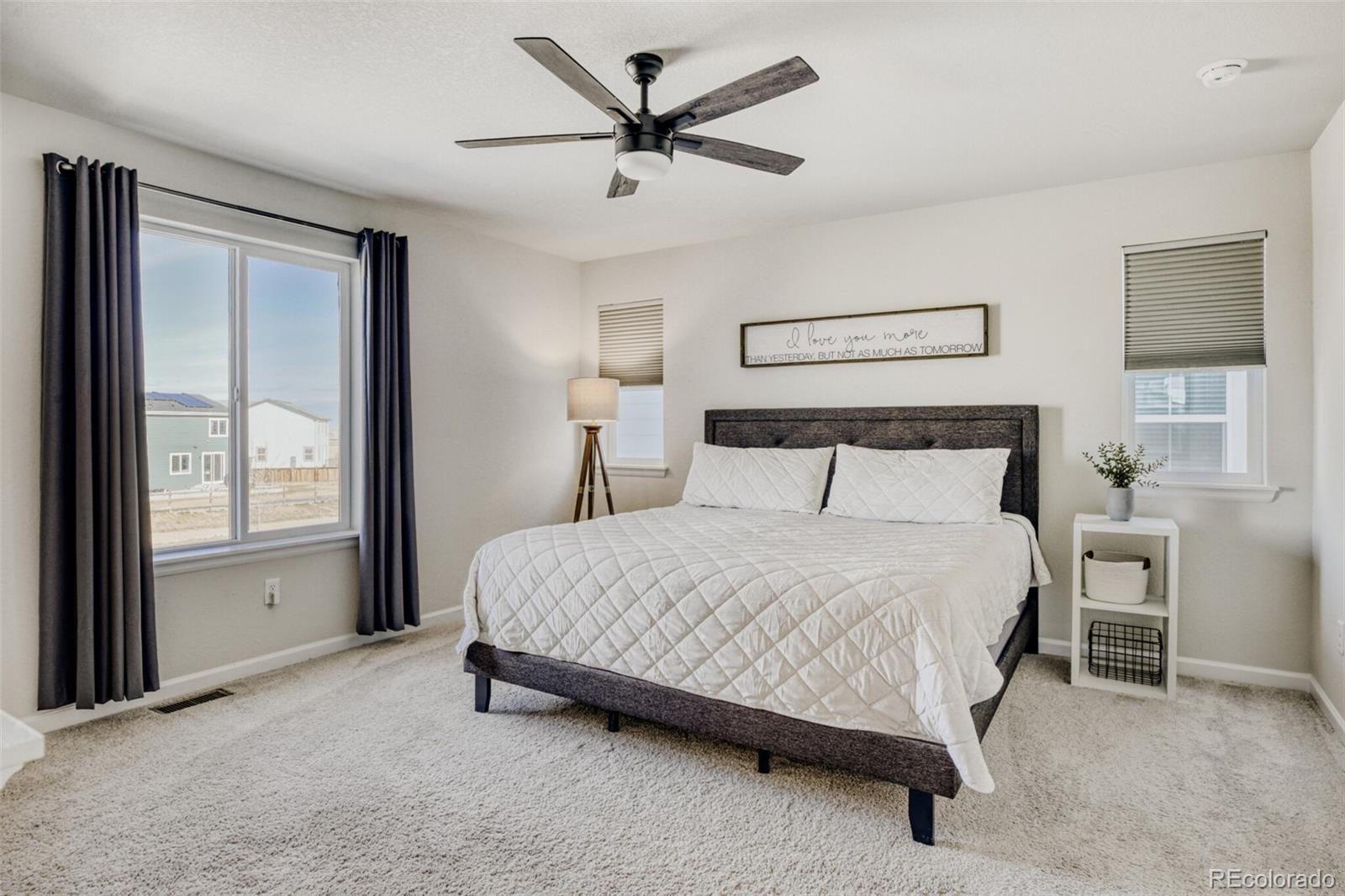 MLS Image #14 for 5881  red barn avenue,mead, Colorado