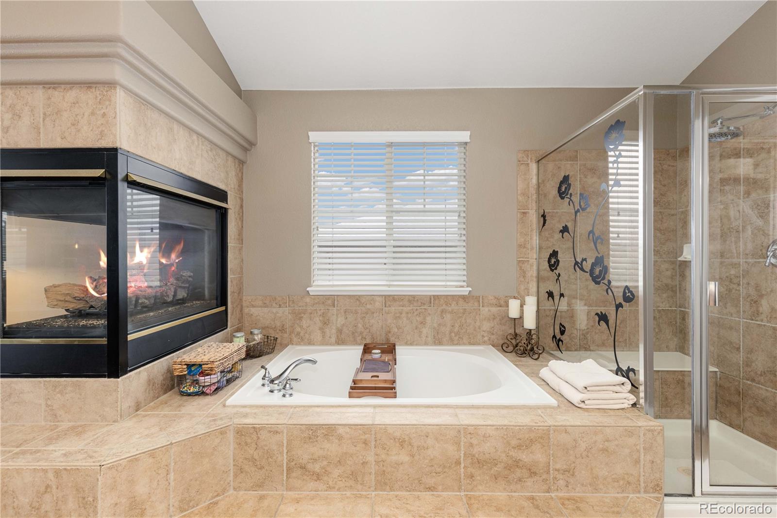 MLS Image #23 for 11575  terrawood lane,parker, Colorado