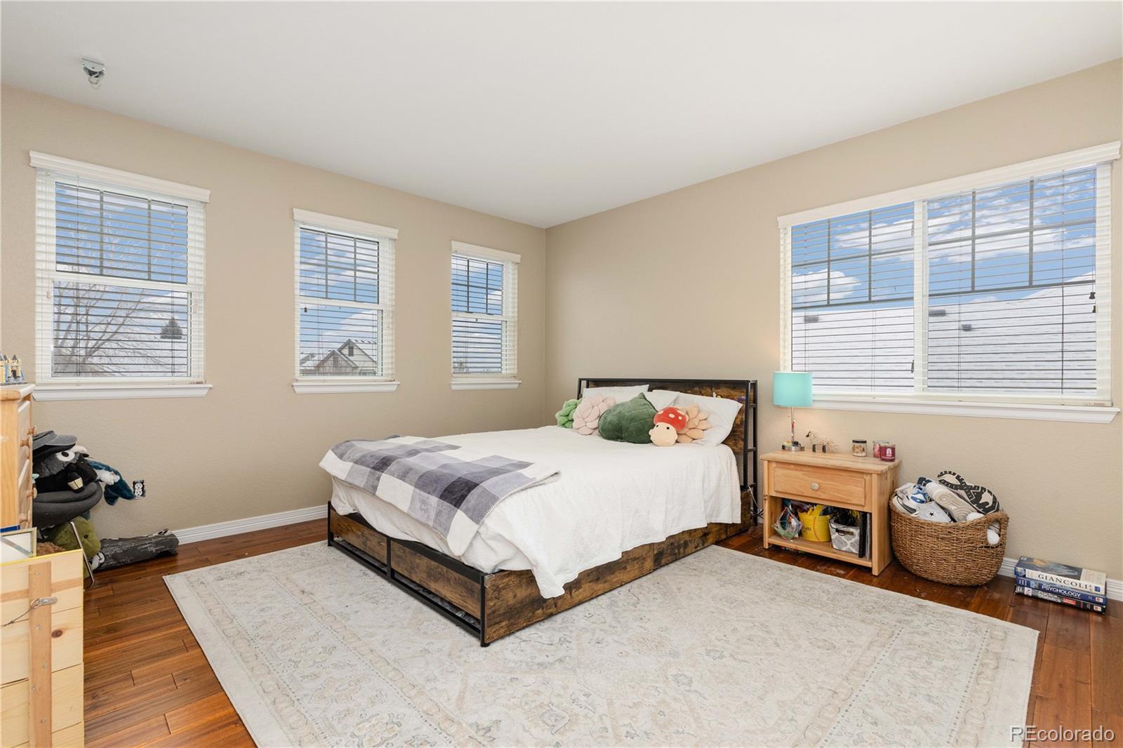 MLS Image #30 for 11575  terrawood lane,parker, Colorado