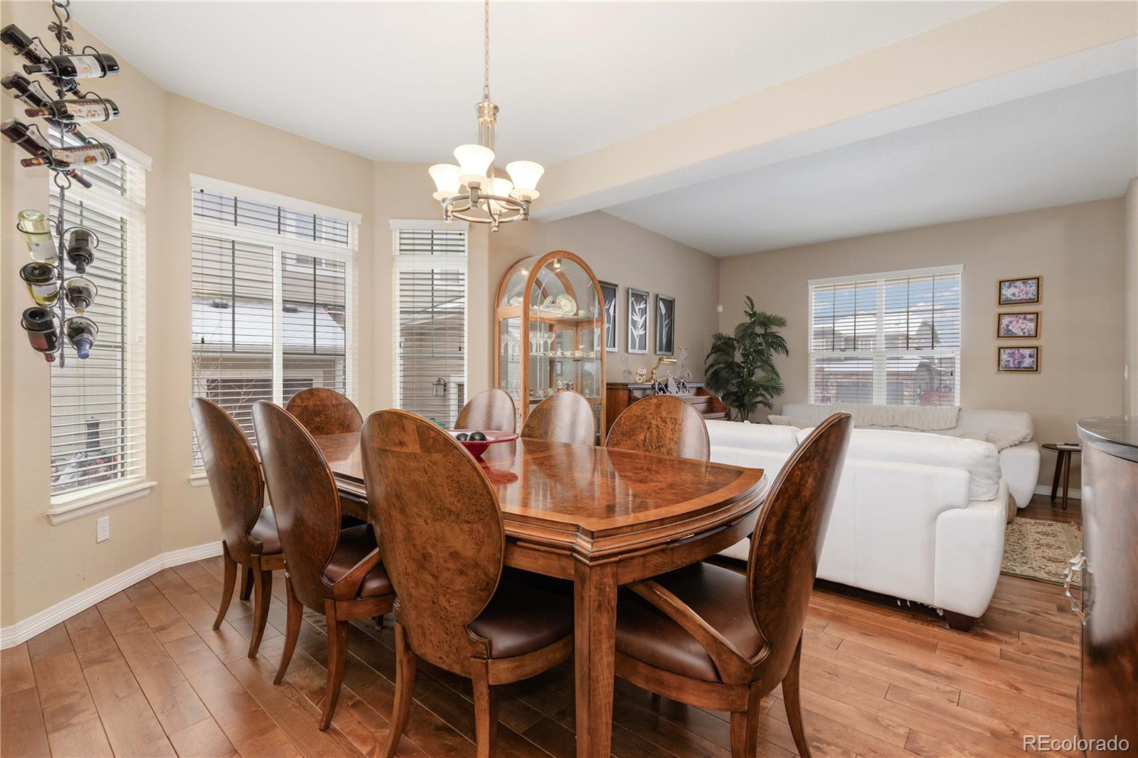 MLS Image #5 for 11575  terrawood lane,parker, Colorado