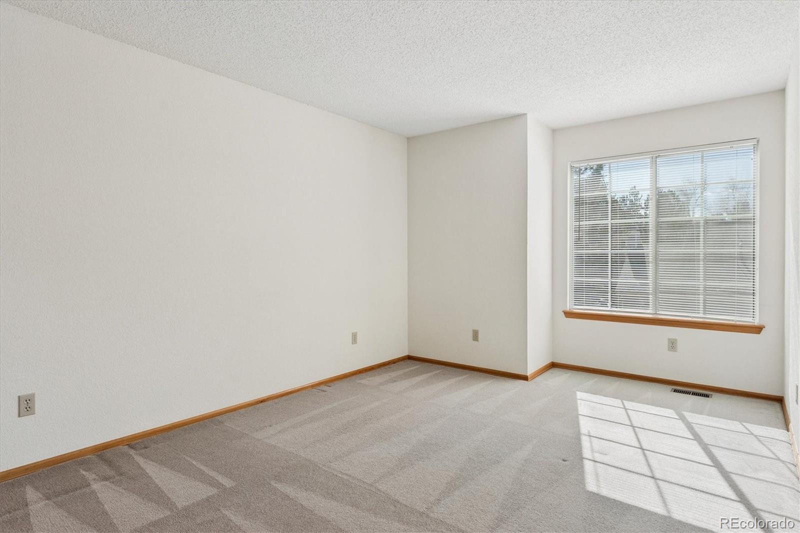 MLS Image #19 for 2230  brent circle,colorado springs, Colorado