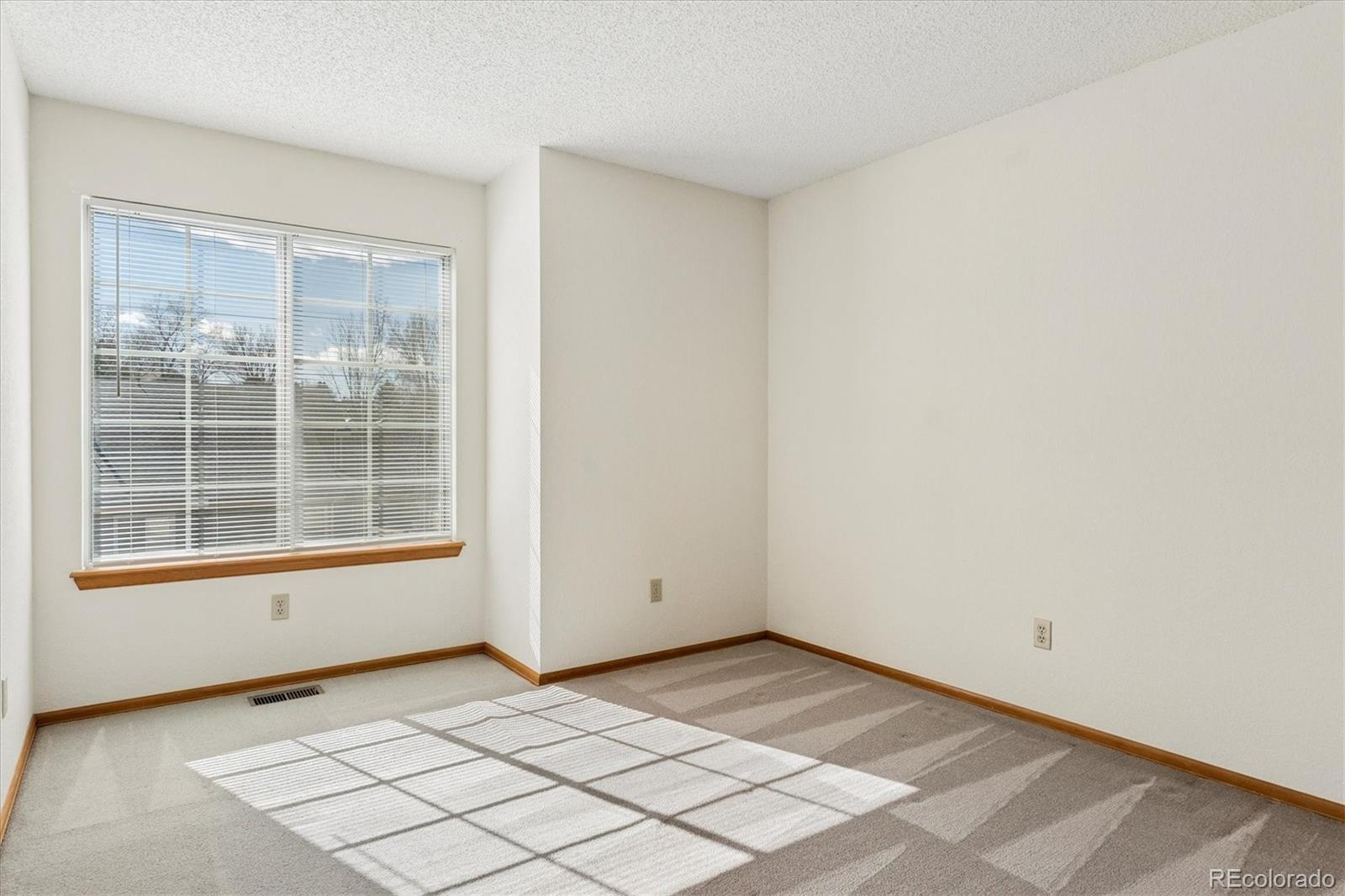 MLS Image #20 for 2230  brent circle,colorado springs, Colorado