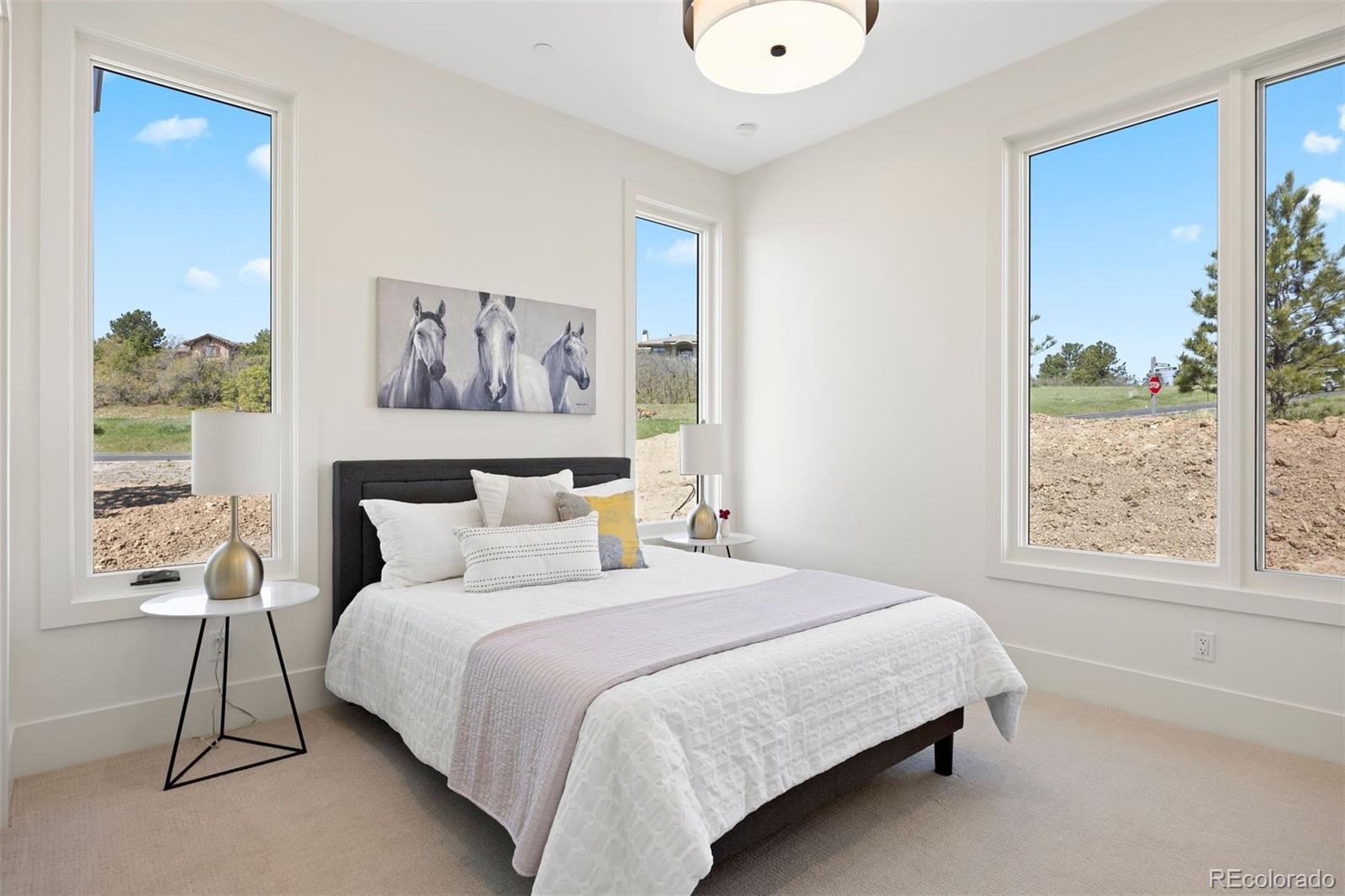MLS Image #20 for 6176  oxford peak lane,castle rock, Colorado