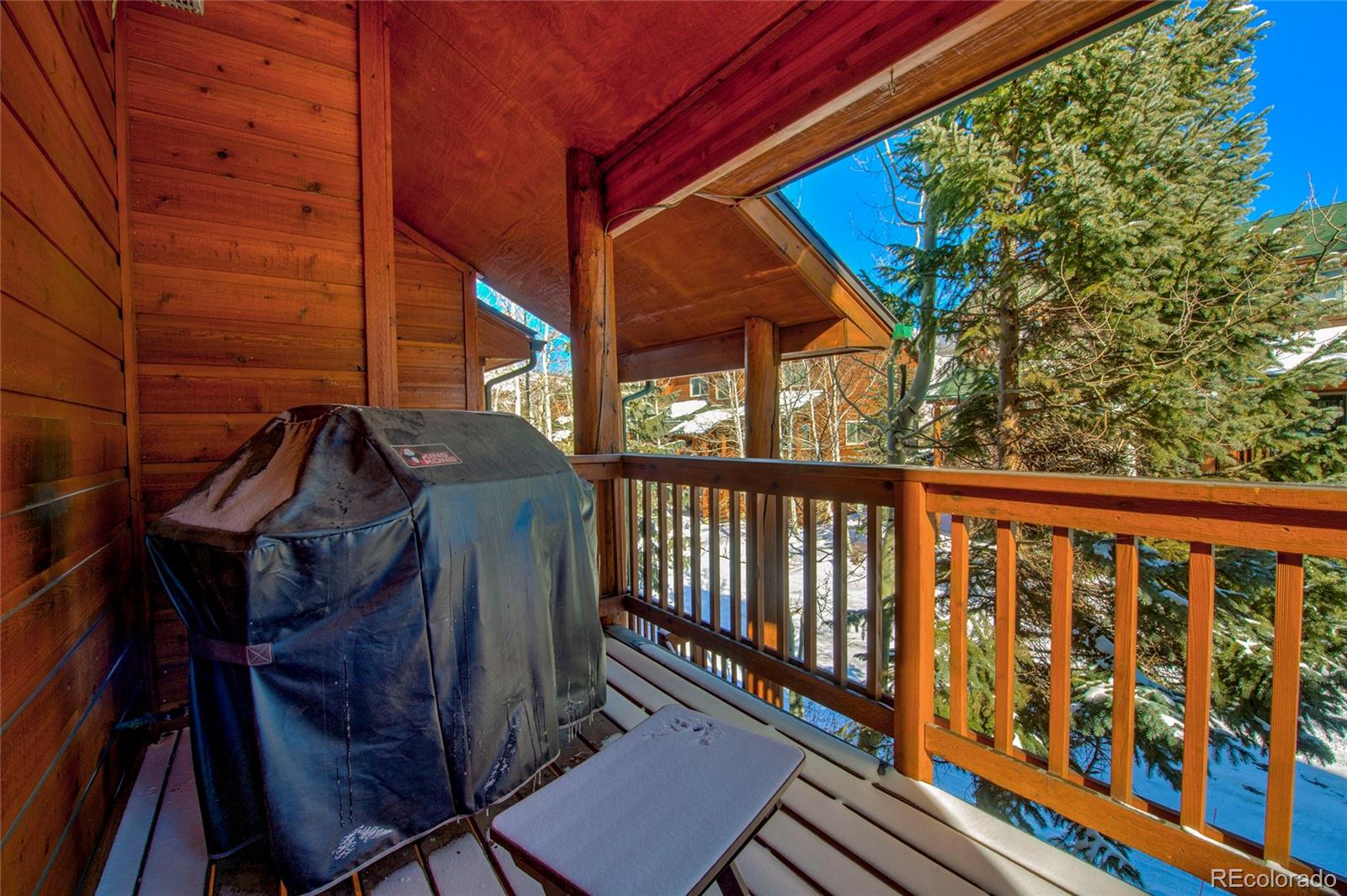 MLS Image #11 for 9  crown court,dillon, Colorado