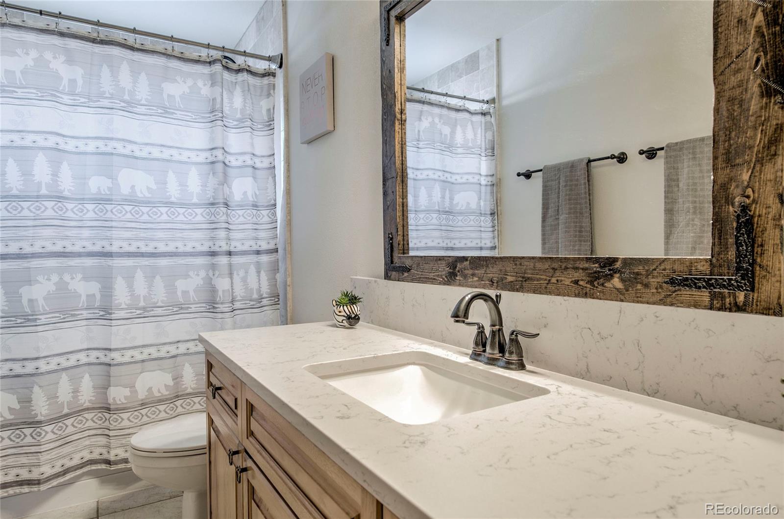 MLS Image #14 for 9  crown court,dillon, Colorado