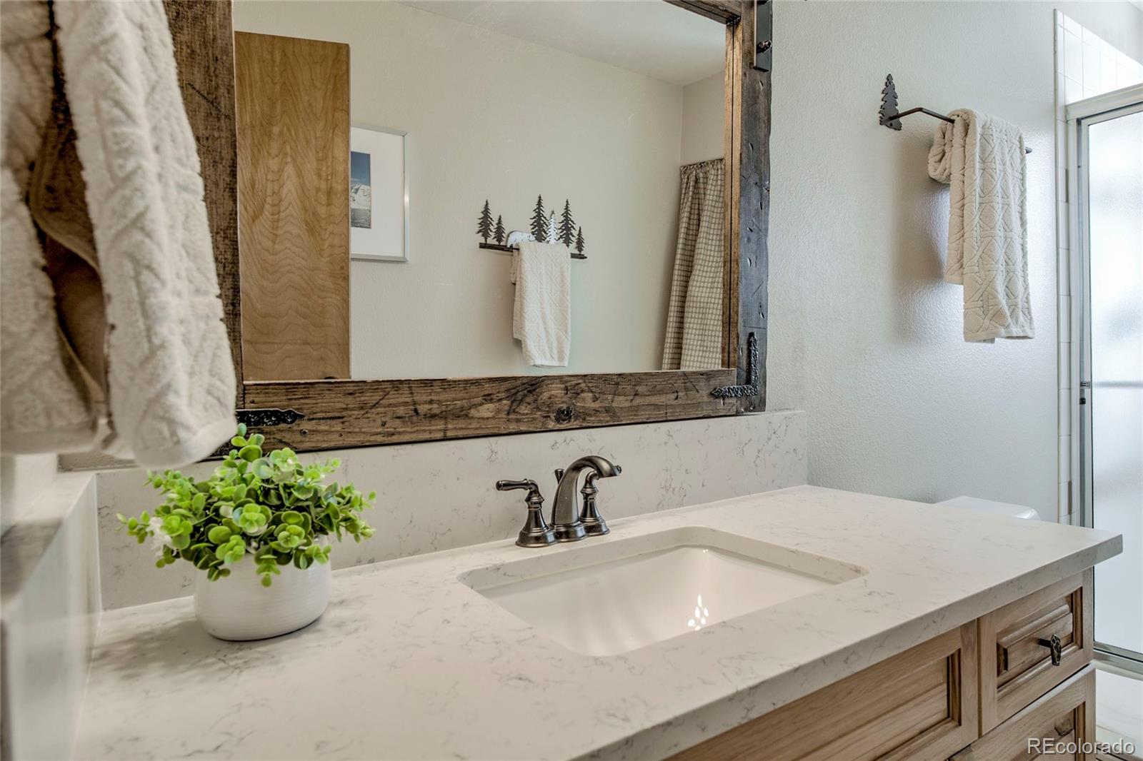 MLS Image #20 for 9  crown court,dillon, Colorado