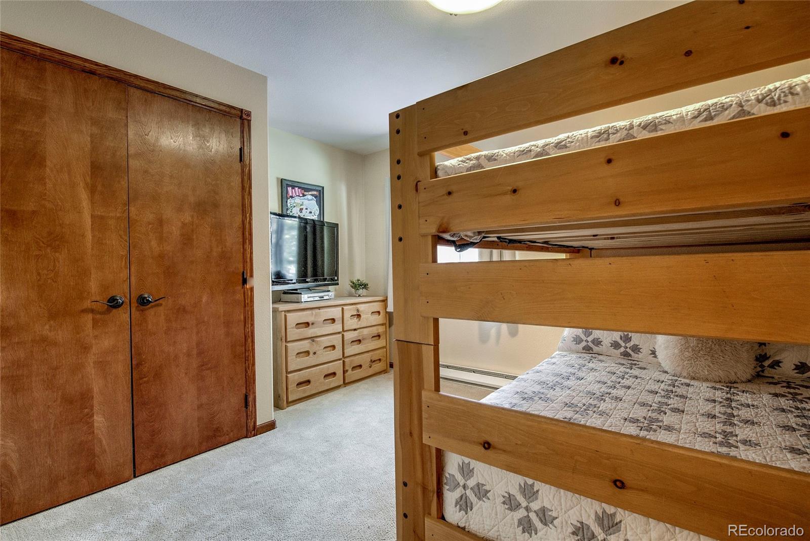 MLS Image #22 for 9  crown court,dillon, Colorado