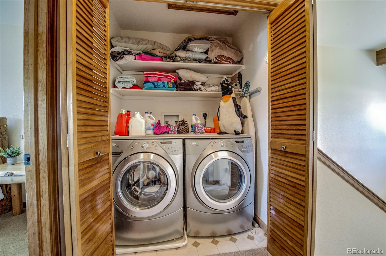 MLS Image #30 for 9  crown court,dillon, Colorado
