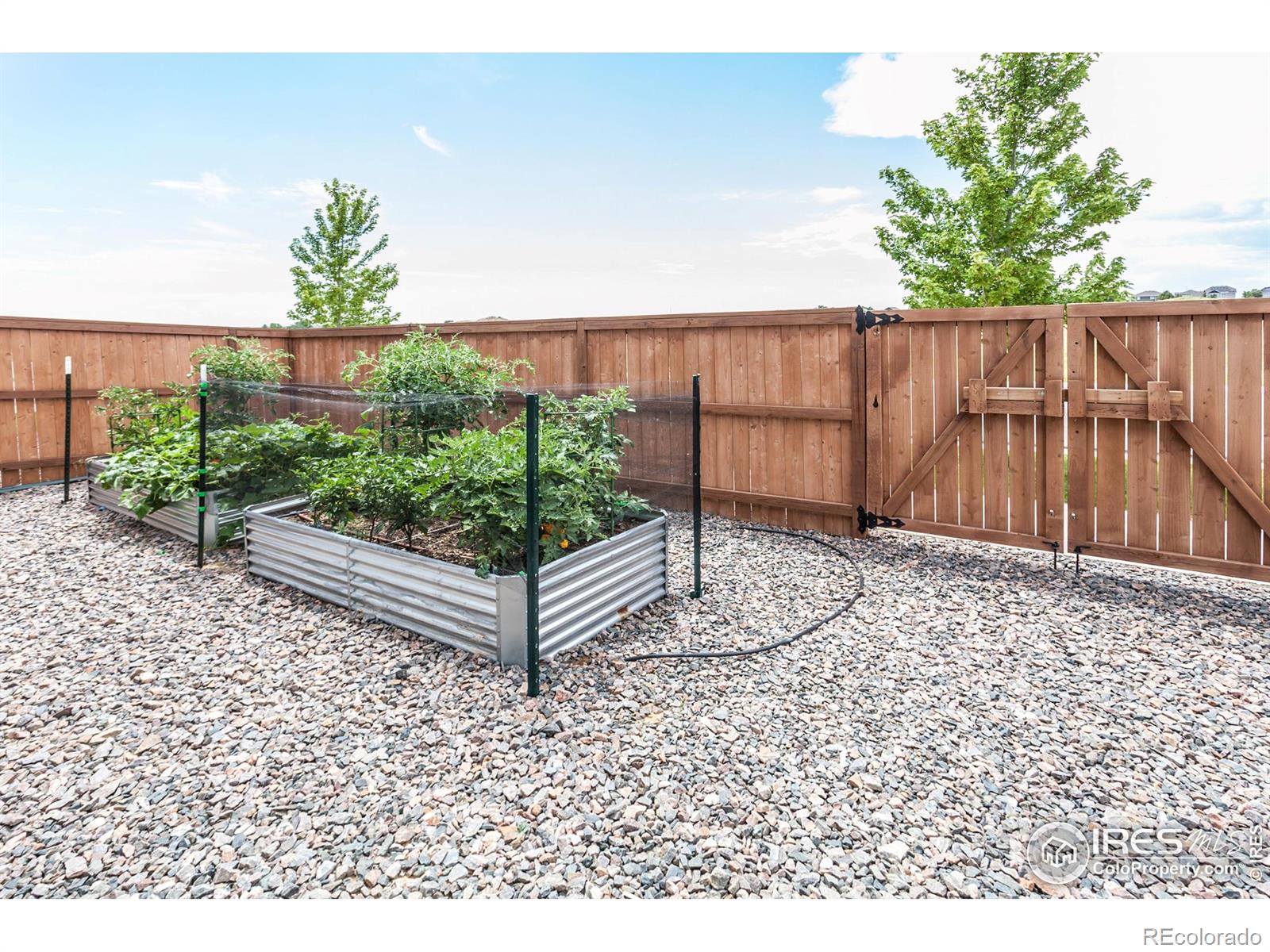 MLS Image #38 for 1231  105th ave ct,greeley, Colorado