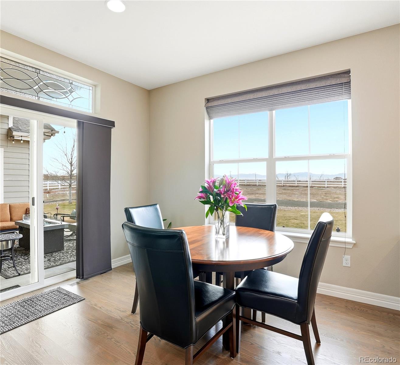 MLS Image #10 for 16015  olive street,brighton, Colorado