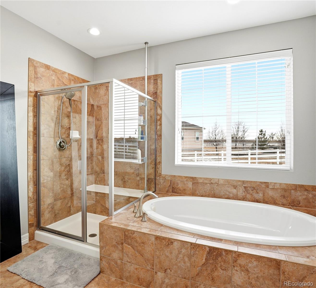 MLS Image #19 for 16015  olive street,brighton, Colorado