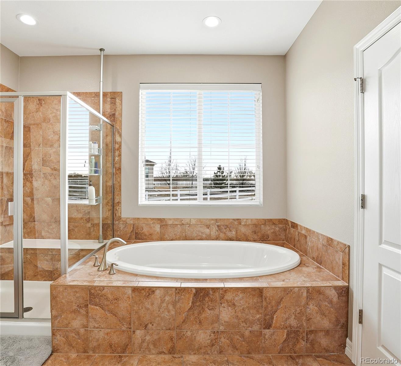 MLS Image #20 for 16015  olive street,brighton, Colorado
