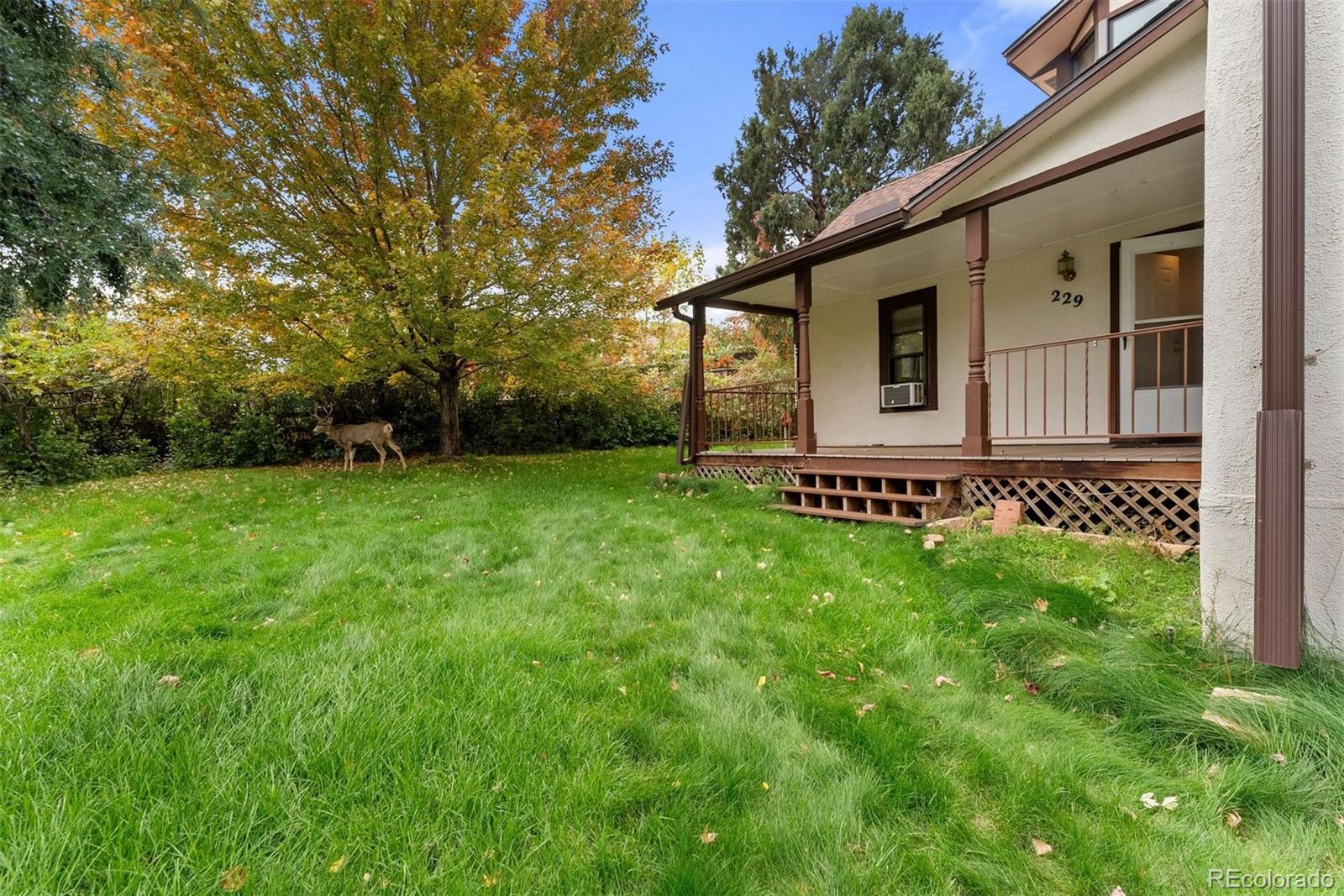 MLS Image #11 for 229  highway 8 ,morrison, Colorado