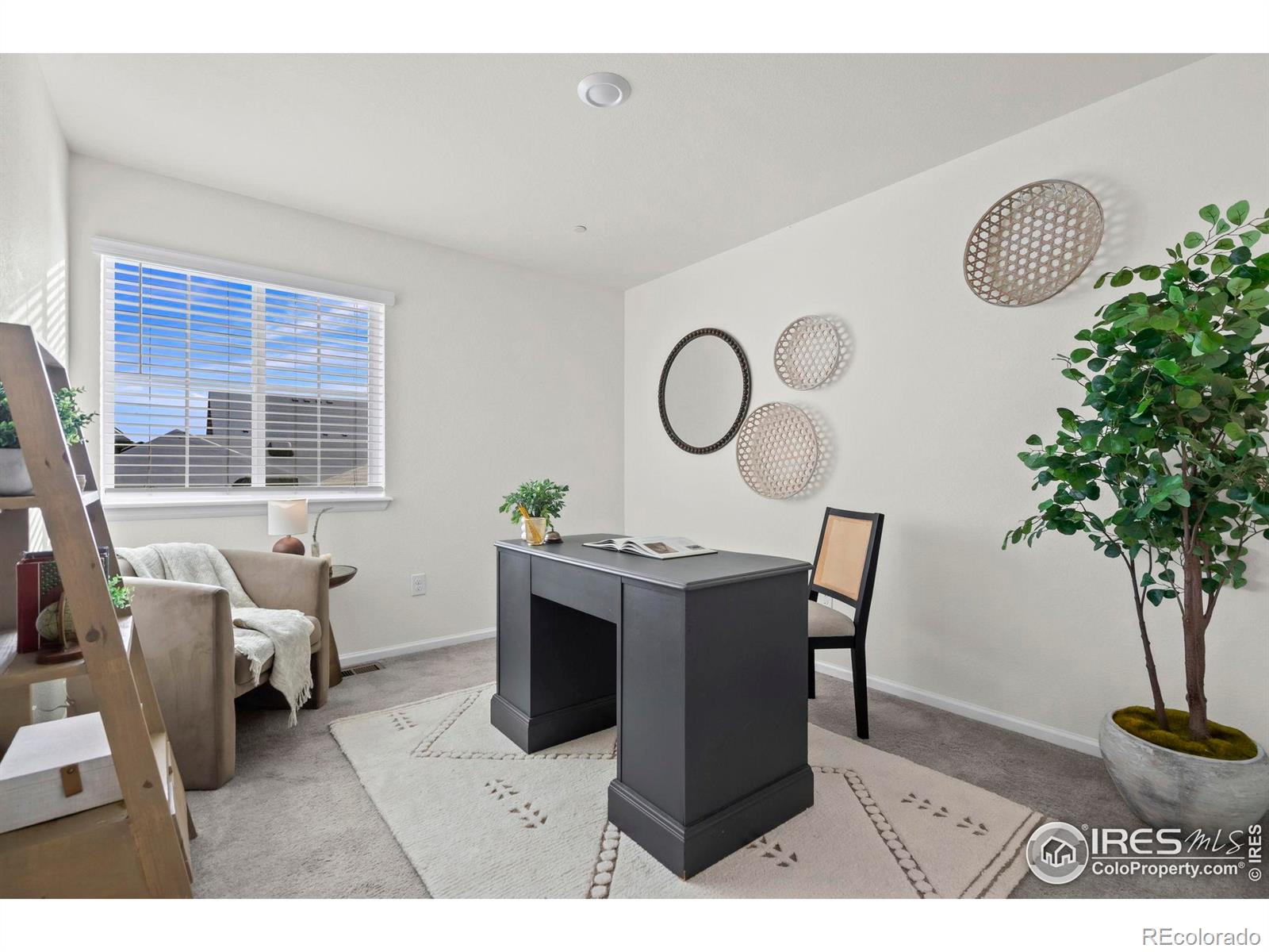 MLS Image #19 for 216  zeppelin way,fort collins, Colorado