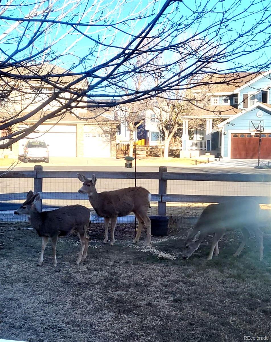 MLS Image #44 for 9645 n crystal lake drive,littleton, Colorado