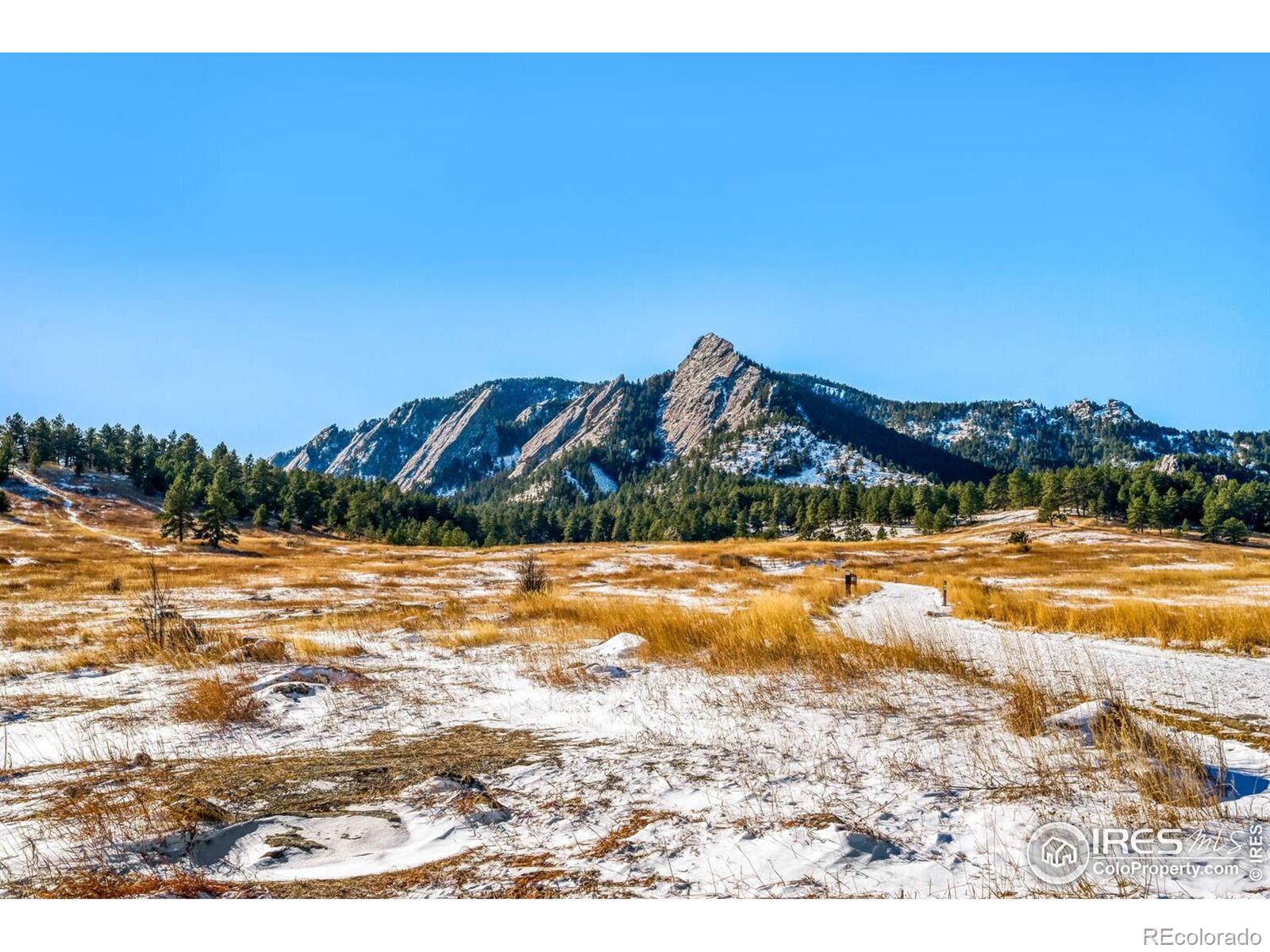 MLS Image #43 for 964  grant place,boulder, Colorado
