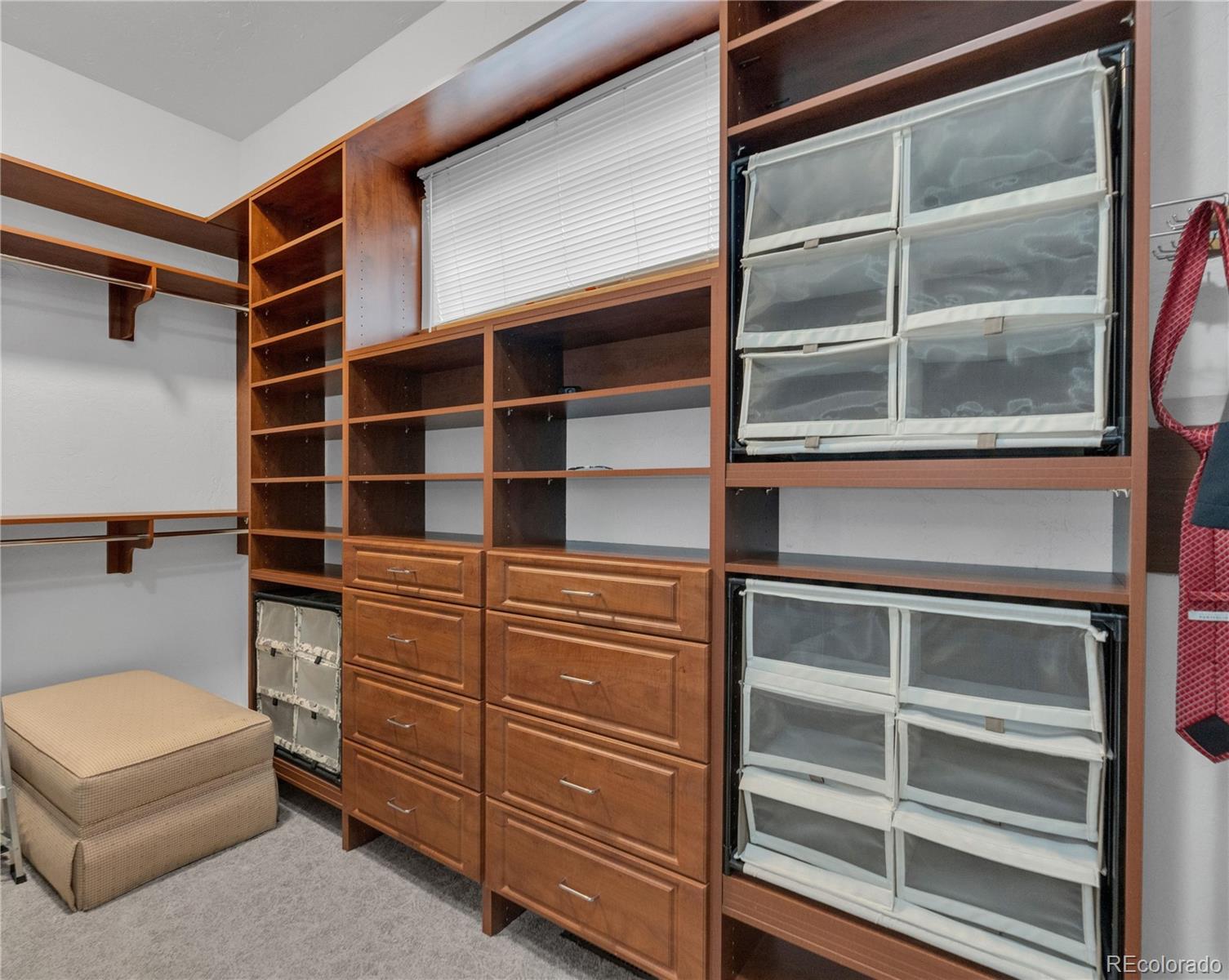 MLS Image #12 for 9050  mary clarke place,parker, Colorado