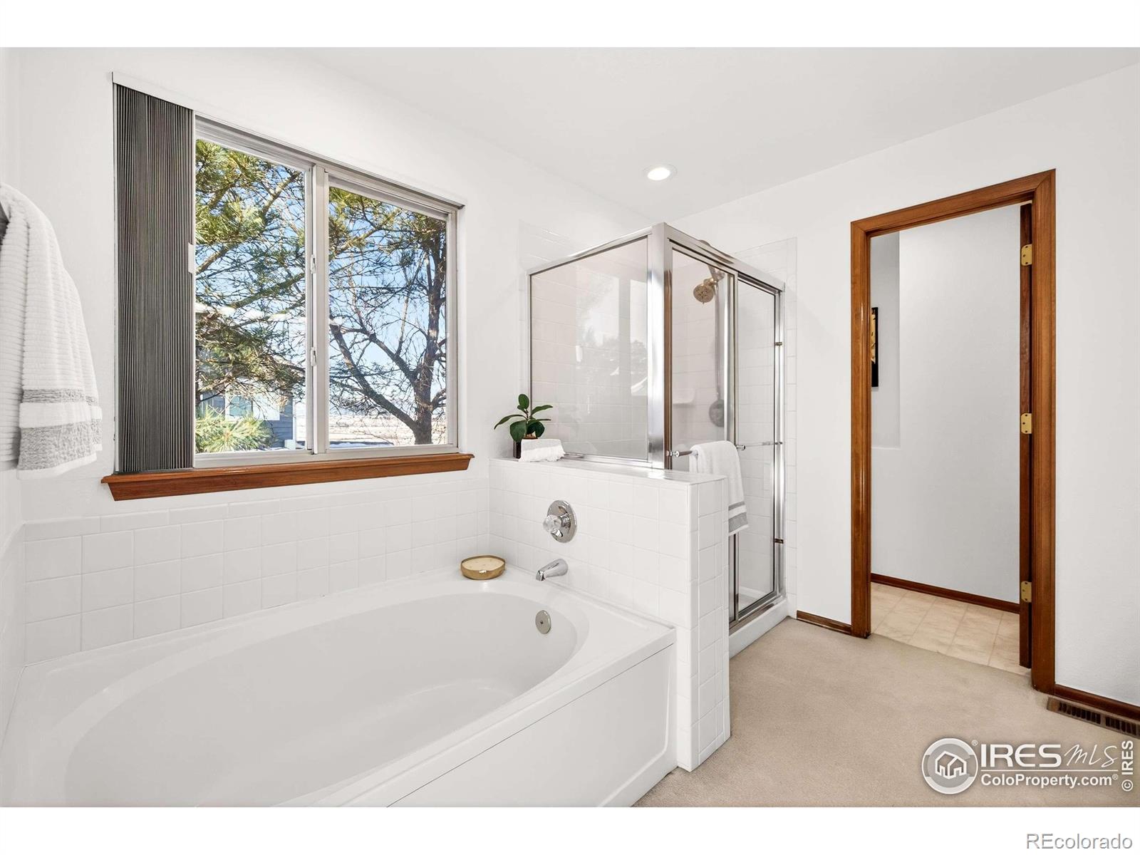 MLS Image #17 for 1759  laurel court,broomfield, Colorado