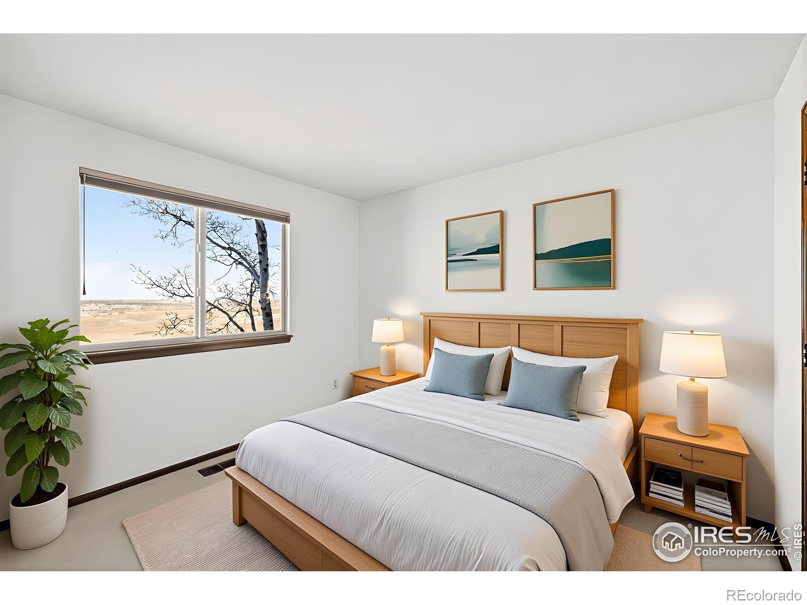 MLS Image #21 for 1759  laurel court,broomfield, Colorado