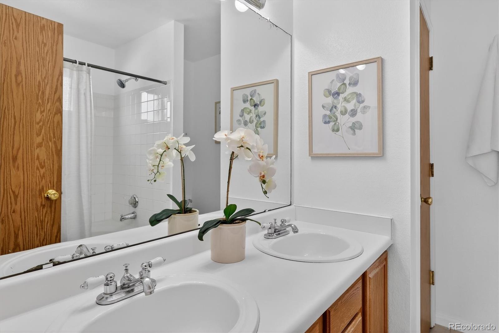 MLS Image #14 for 4048  ashcroft avenue,castle rock, Colorado