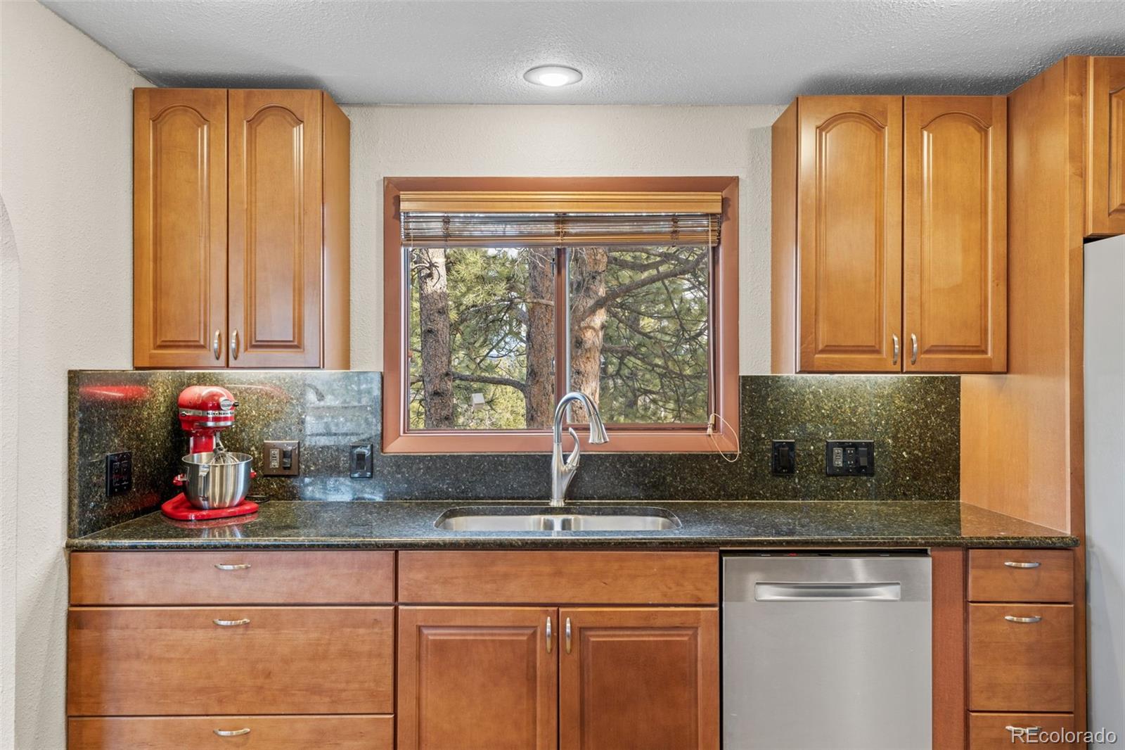 MLS Image #10 for 1995  mockingbird trail,bailey, Colorado