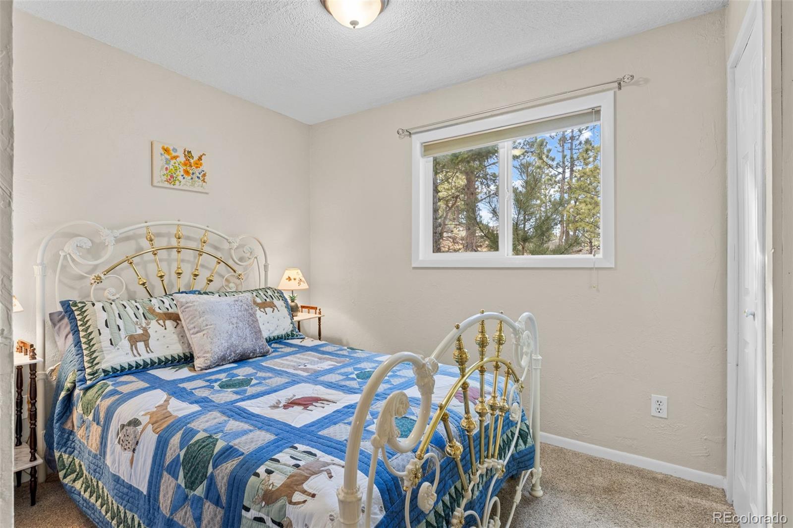 MLS Image #13 for 1995  mockingbird trail,bailey, Colorado