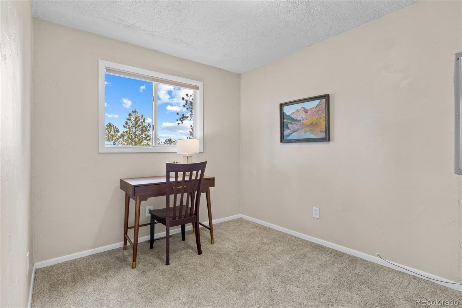 MLS Image #15 for 1995  mockingbird trail,bailey, Colorado