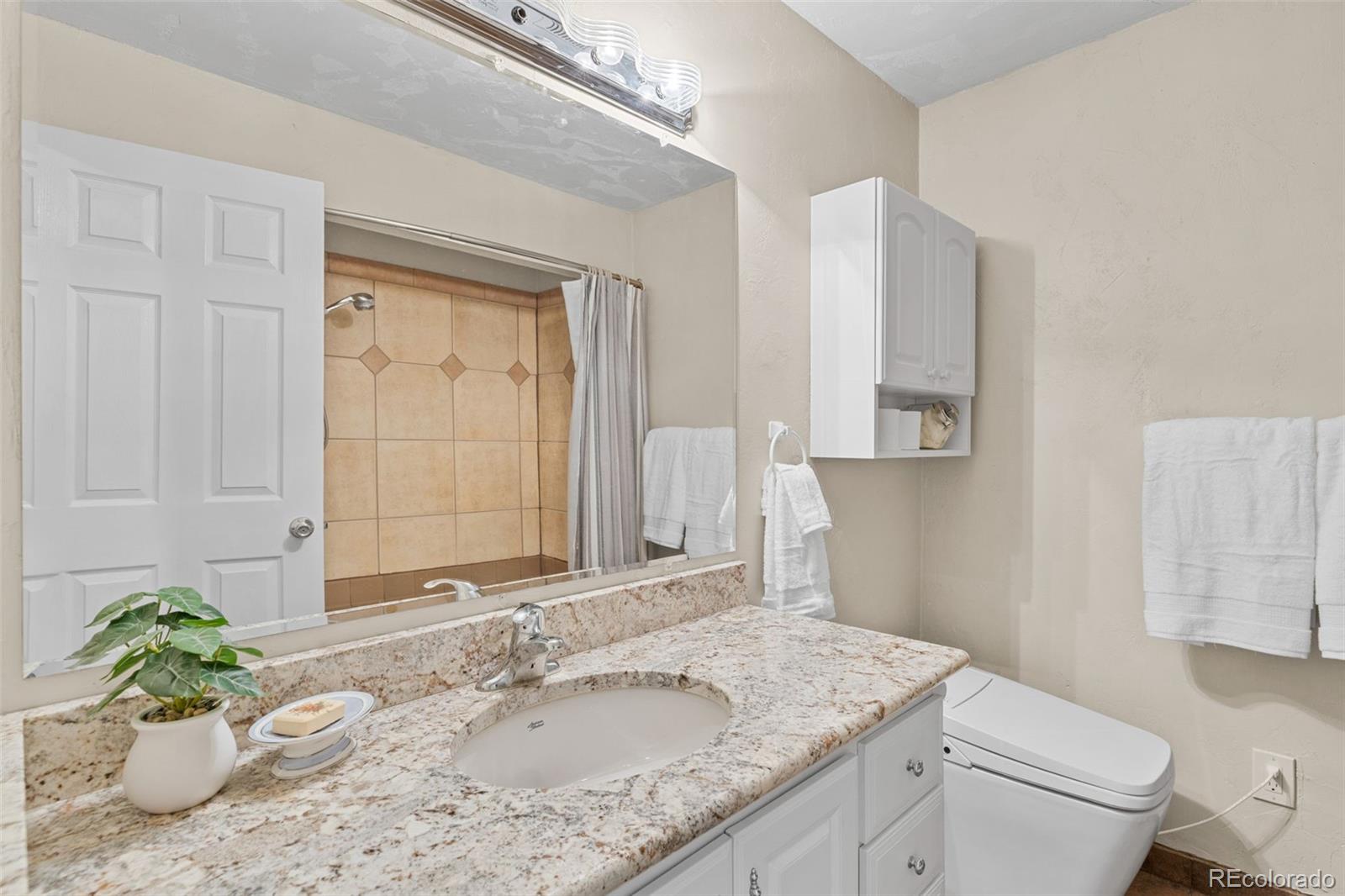 MLS Image #18 for 1995  mockingbird trail,bailey, Colorado