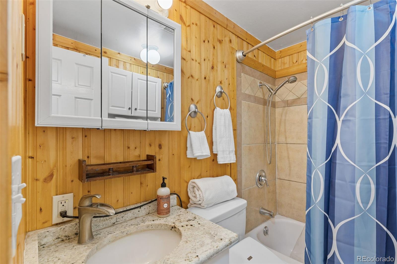 MLS Image #19 for 1995  mockingbird trail,bailey, Colorado