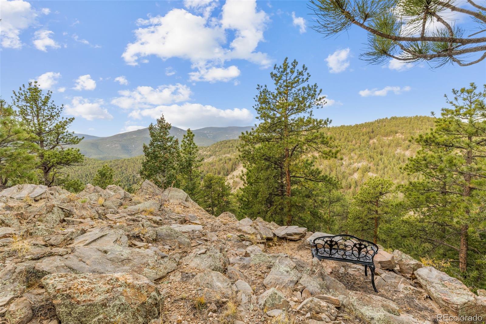 MLS Image #6 for 1995  mockingbird trail,bailey, Colorado