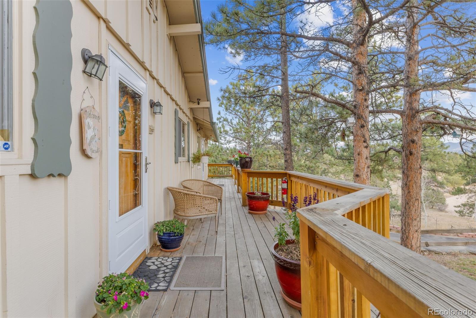 MLS Image #7 for 1995  mockingbird trail,bailey, Colorado