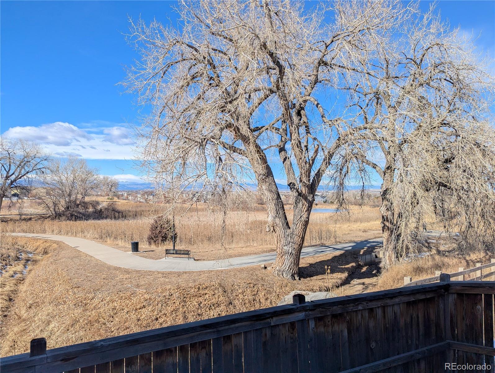 MLS Image #38 for 14147  jackson street,thornton, Colorado