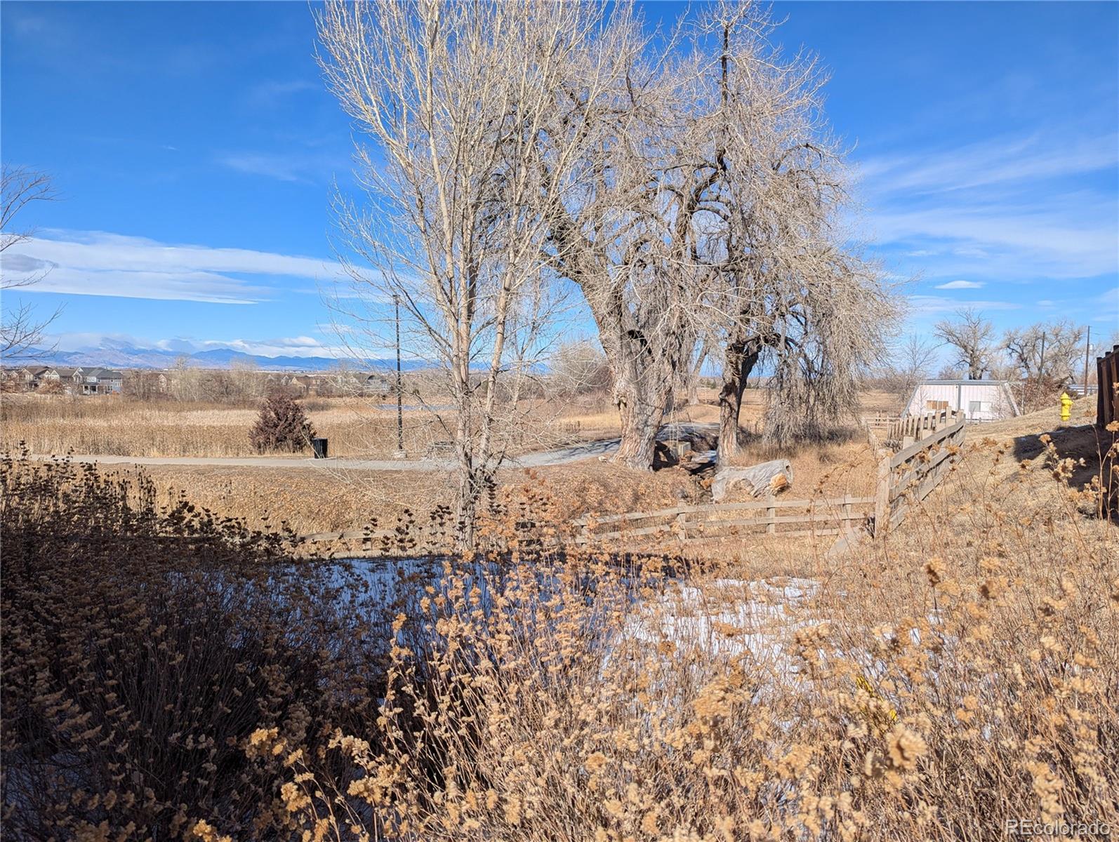 MLS Image #39 for 14147  jackson street,thornton, Colorado