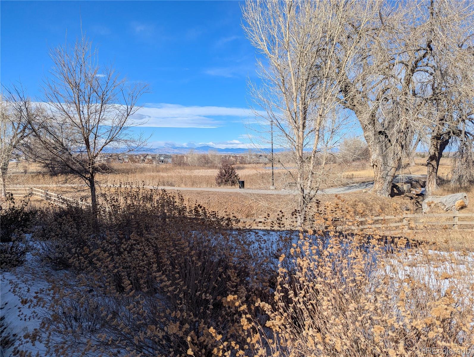 MLS Image #40 for 14147  jackson street,thornton, Colorado
