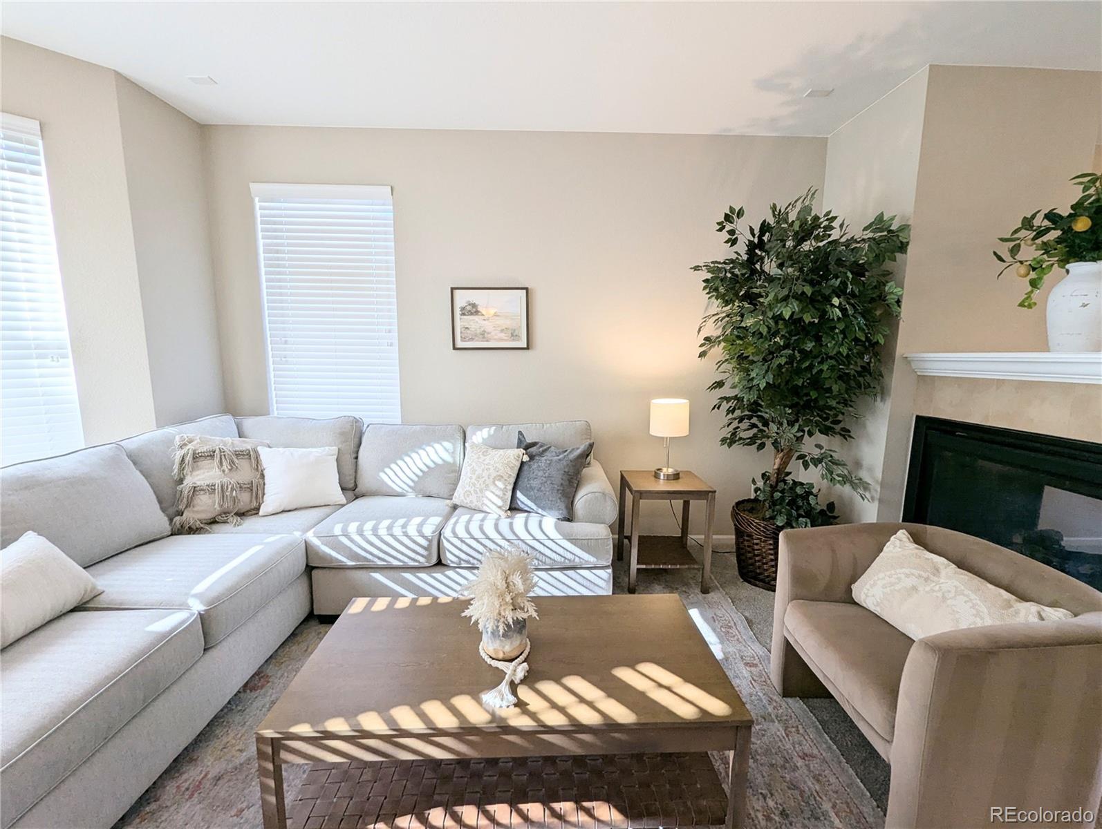 MLS Image #6 for 14147  jackson street,thornton, Colorado