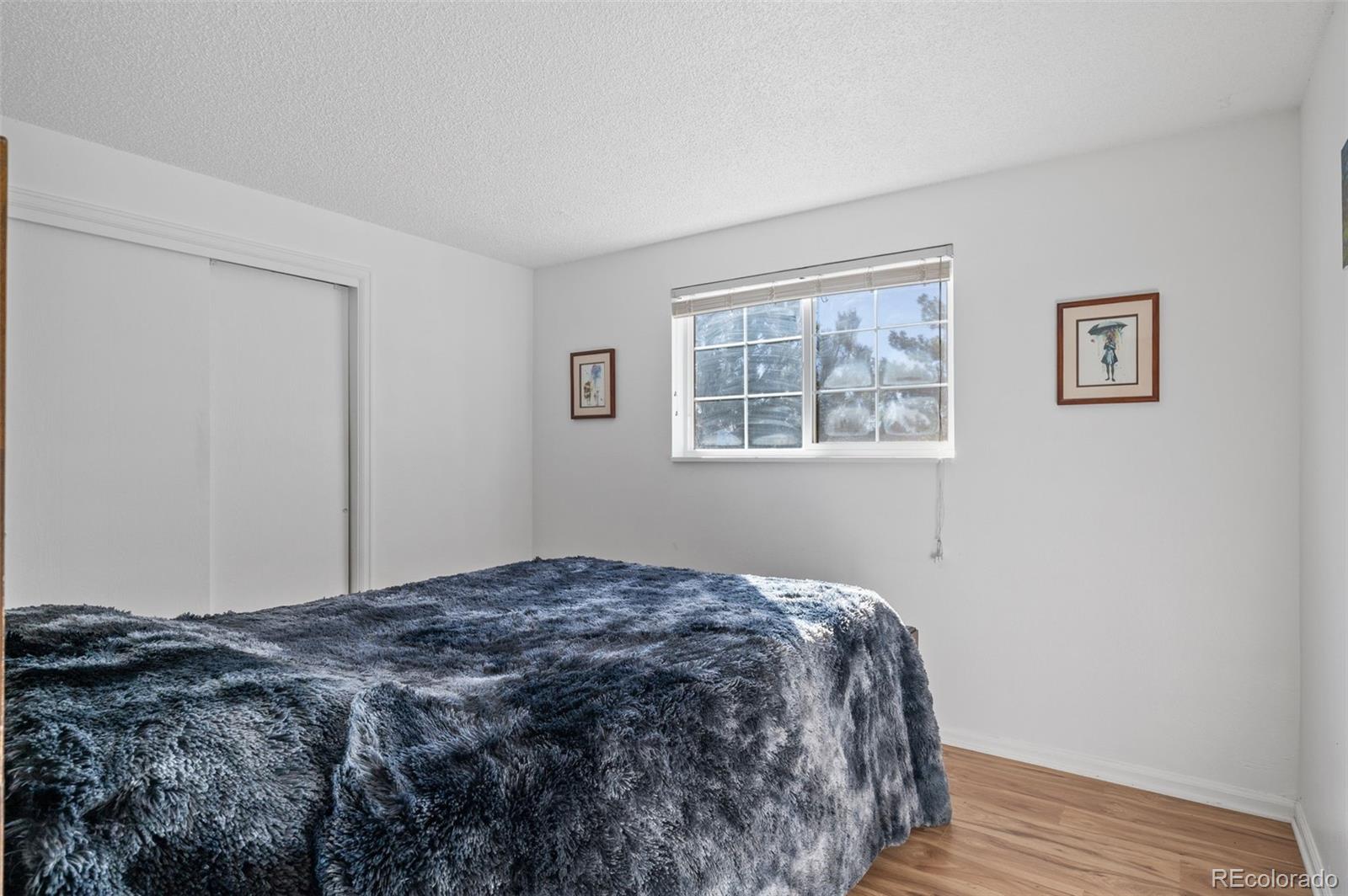 MLS Image #14 for 357  saturn place,lone tree, Colorado