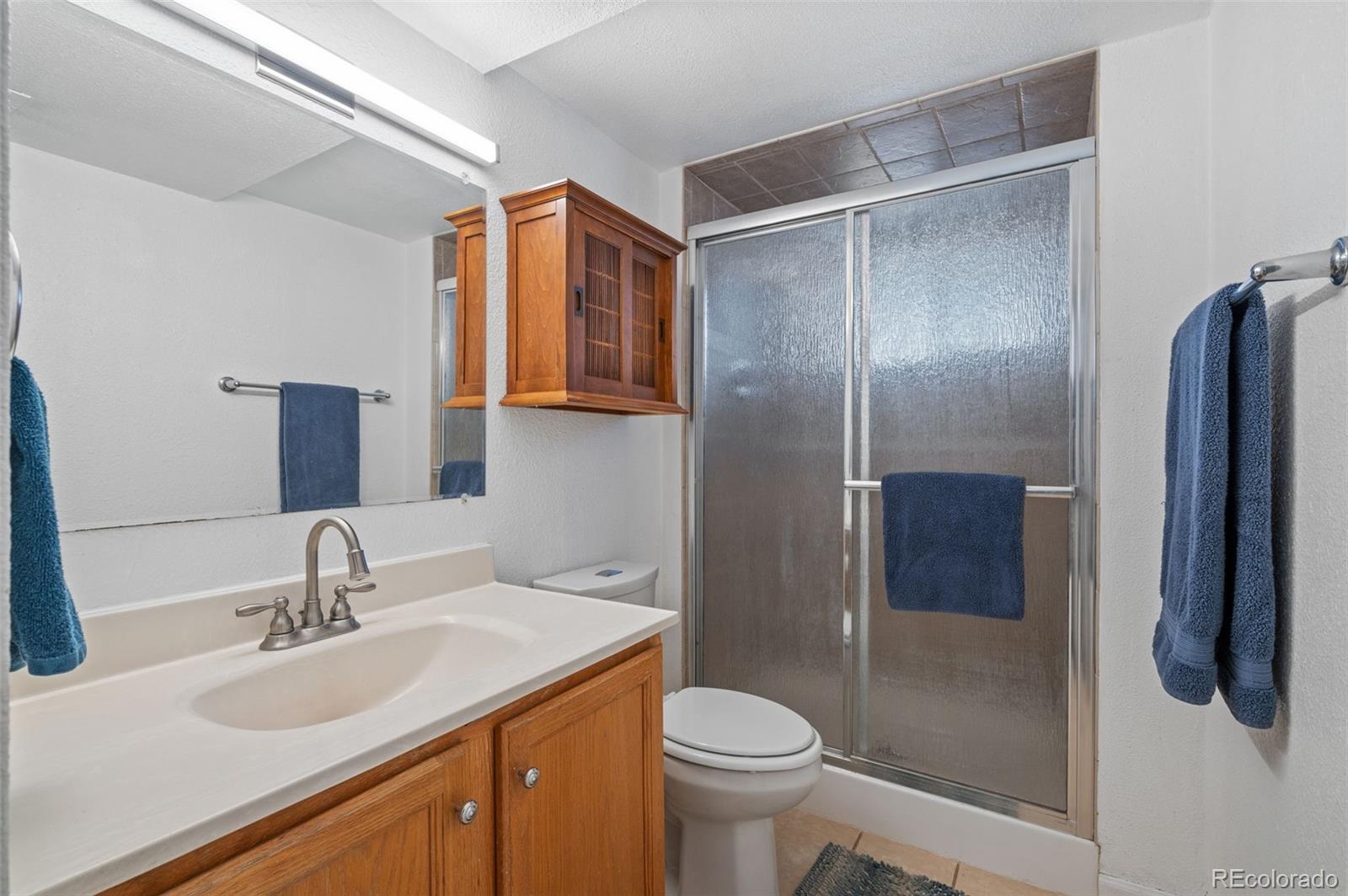 MLS Image #21 for 357  saturn place,lone tree, Colorado
