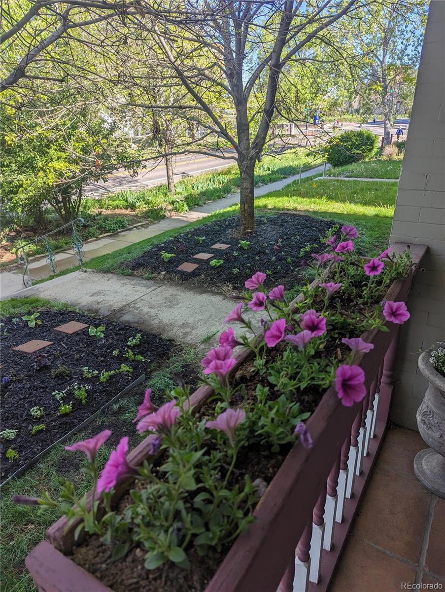 MLS Image #29 for 1746 n franklin street 1,denver, Colorado