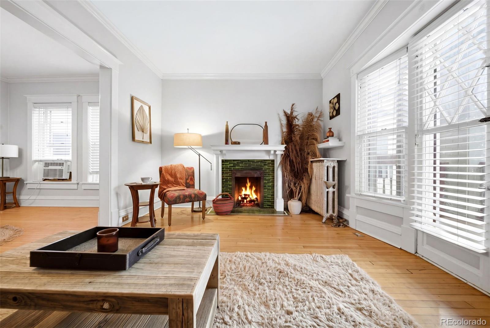 MLS Image #5 for 1746 n franklin street 1,denver, Colorado