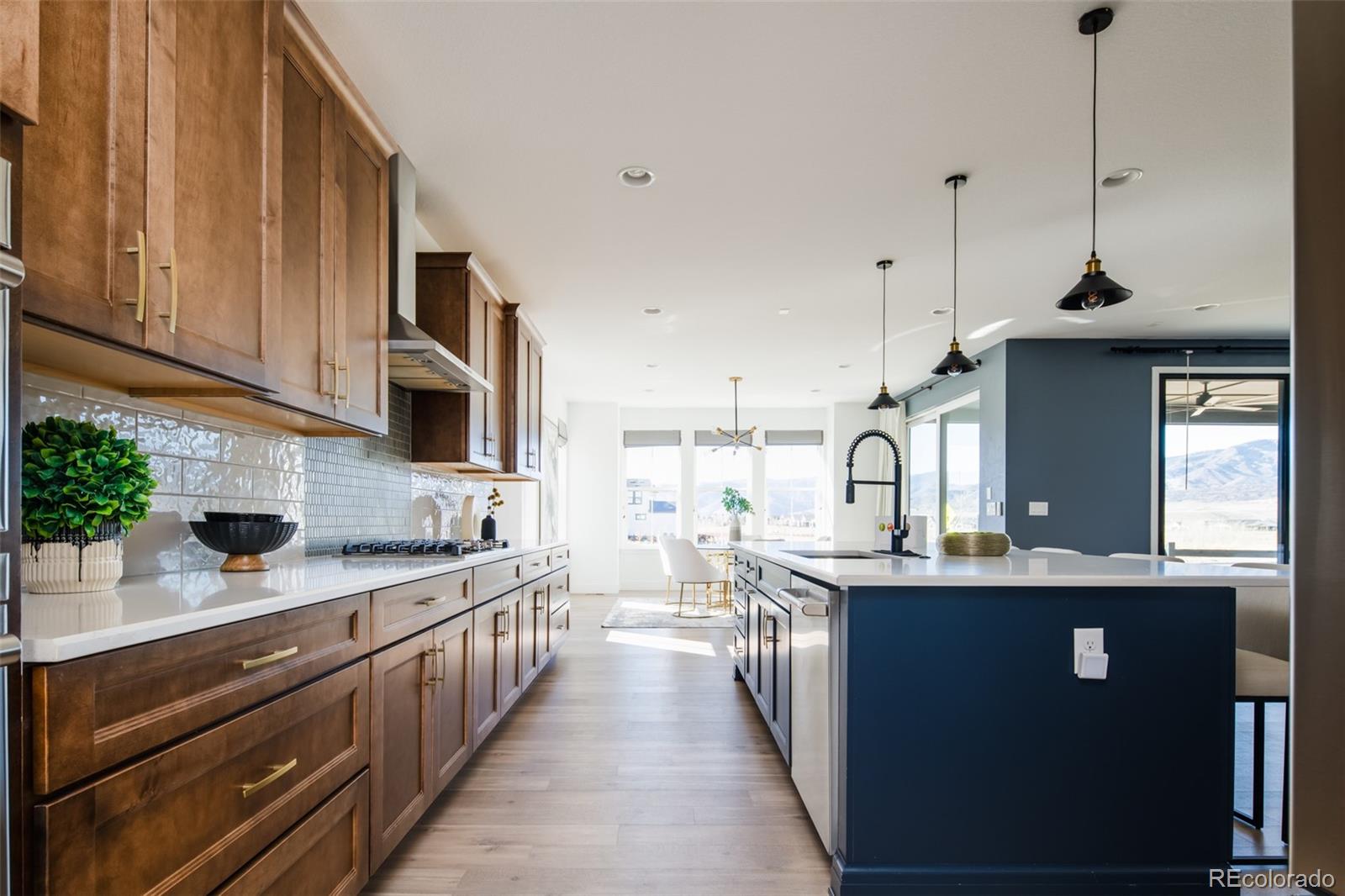 MLS Image #13 for 9241  star streak circle,littleton, Colorado