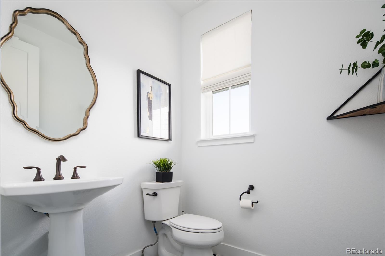 MLS Image #19 for 9241  star streak circle,littleton, Colorado