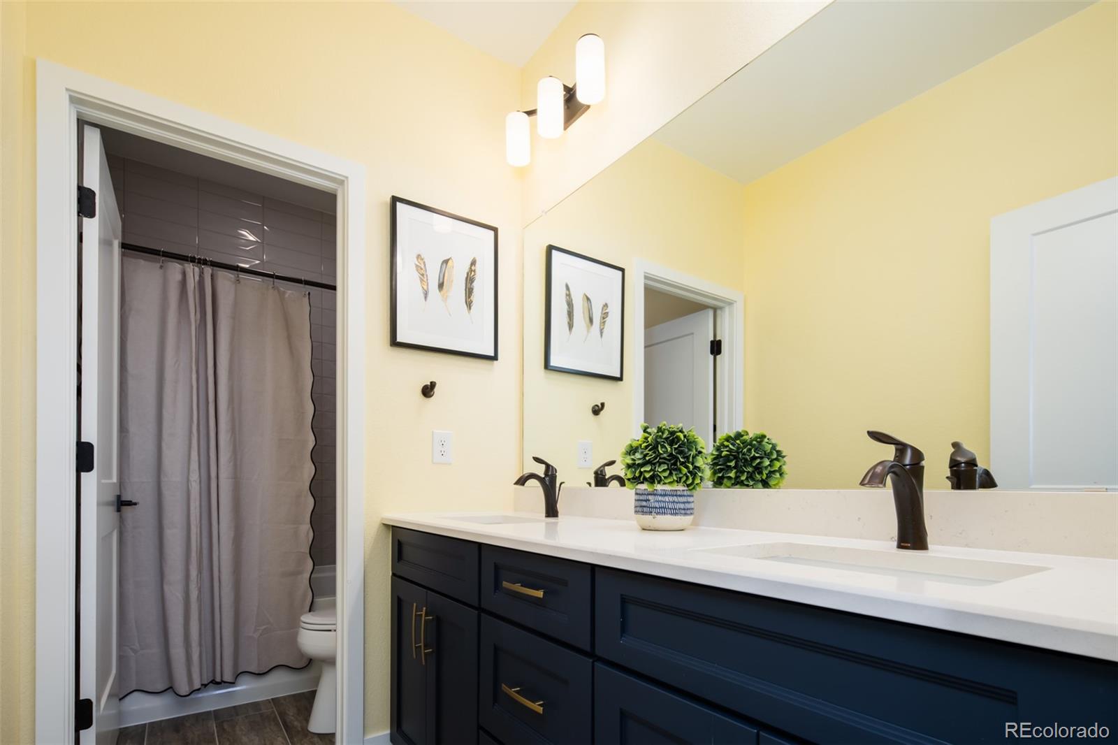 MLS Image #23 for 9241  star streak circle,littleton, Colorado