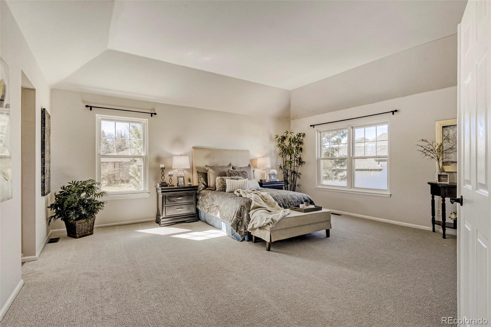 MLS Image #16 for 8573  mallard court,highlands ranch, Colorado