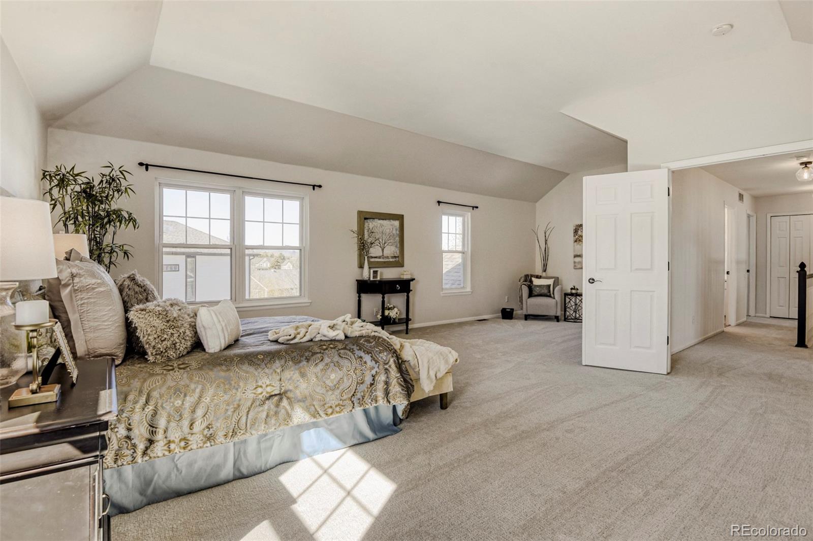 MLS Image #17 for 8573  mallard court,highlands ranch, Colorado