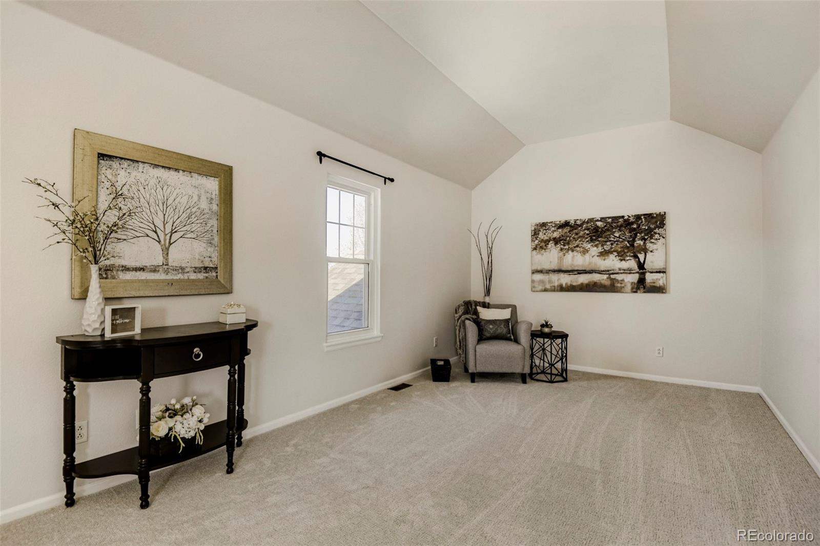 MLS Image #18 for 8573  mallard court,highlands ranch, Colorado